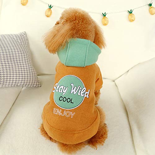 Ropa Perro Pequeño, Invierno Bloque de Color Sudadera con Capucha para Perros, Ropa de Algodón Suave y Cálida, Abrigo de Cachorro Gatos Mascota Yorkshire Chihuahua, XS-XL