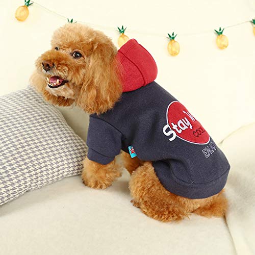 Ropa Perro Pequeño, Invierno Bloque de Color Sudadera con Capucha para Perros, Ropa de Algodón Suave y Cálida, Abrigo de Cachorro Gatos Mascota Yorkshire Chihuahua, XS-XL