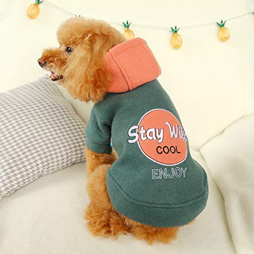 Ropa Perro Pequeño, Invierno Bloque de Color Sudadera con Capucha para Perros, Ropa de Algodón Suave y Cálida, Abrigo de Cachorro Gatos Mascota Yorkshire Chihuahua, XS-XL