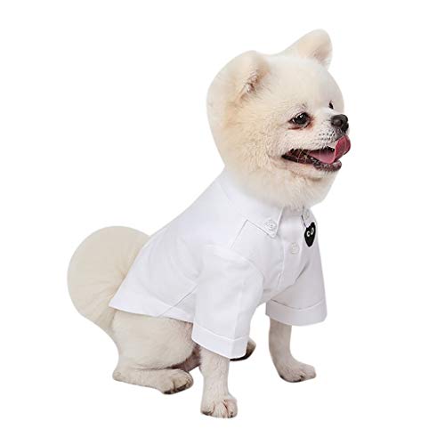 Ropa Perro Pequeño, Moda Ropa para Mascotas Transpirable Color Sólido Camisa Slim Fit En Primavera y Otoño, Abrigo de Cachorro Gatos Mascota Yorkshire Chihuahua, XS-XXL