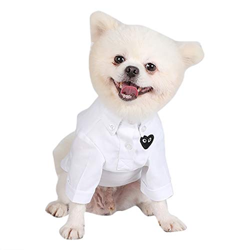 Ropa Perro Pequeño, Moda Ropa para Mascotas Transpirable Color Sólido Camisa Slim Fit En Primavera y Otoño, Abrigo de Cachorro Gatos Mascota Yorkshire Chihuahua, XS-XXL