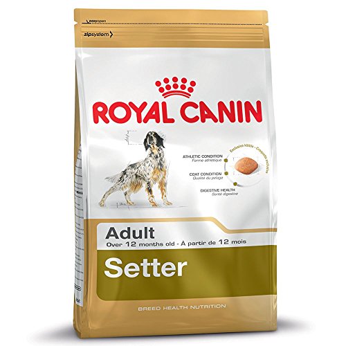 Royal Canin C-08976 S.N. Setter 27 - 12 Kg