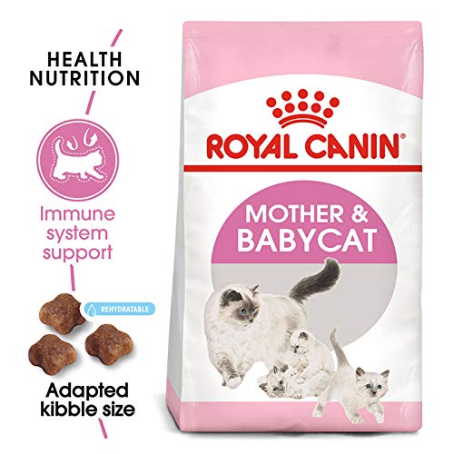 Royal Canin - Mother Babycat, 10KG