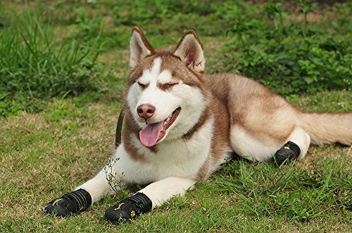 RoyalCare Zapatos Perro, Impermeable Zapatos Perro para Mediano y Grandes Perros - Negro (5#)