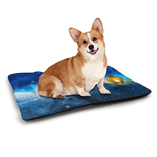 RTBB - Alfombrilla antideslizante para mascotas con diseño de zorro tumbado sobre piedra para perros y gatos, negro, 31"x21"