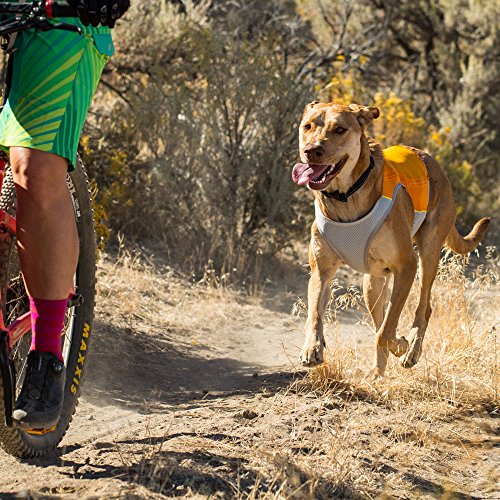 RUFFWEAR - Jet Stream