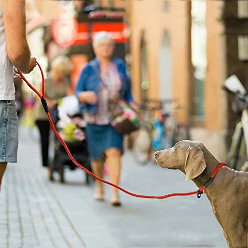 Ruikey Correa para Perros de 1m，Correa para Perros Adiestramiento Correa para Mascota Portátil Conveniente para el Uso Canino Pequeño Medio y Grande Rojo