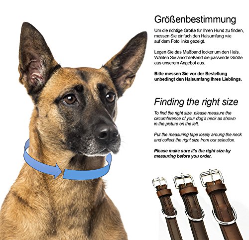 Schnüffelfreunde Collar de Perro de Cuero (S - 24-30cm, Marrón)