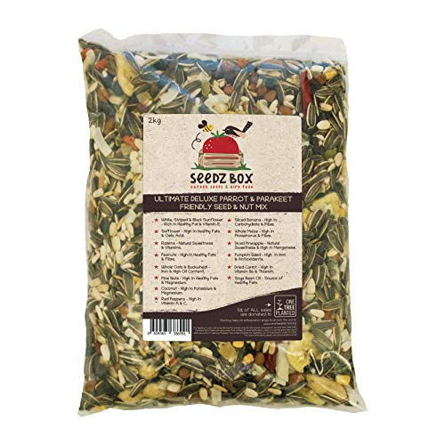 SeedzBox Mezcla Premium semillas y frutas para agapornis, ninfas y loros. Comida equilibrada –con plátano, pipas de calabaza, cacahuetes y avena. Alta calidad y saludable. Aceites y fibra. Bolsa 2kg