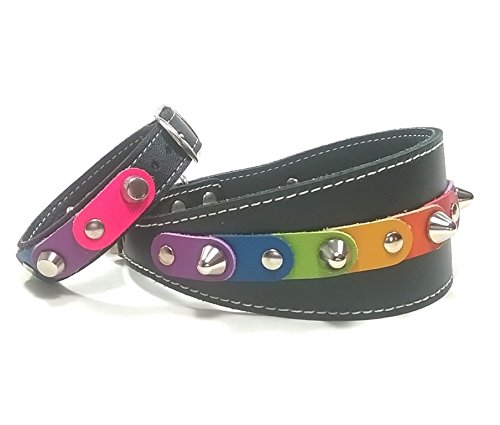 Set Collar Ancho para Galgo, Podenco, Whippet y Teckel, con Pulsera a Juego, Correa Opcional, Diseño Orgullo Gay con los Colores Arcoiris Arco-Ciel, 40 cm Galgo: Cuello 29-34 cm, Ancho 55mm