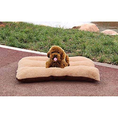 SHPEHP Suministros para Mascotas Cama para Mascotas Alfombra para Perros de Felpa Cama para Perros Gato sofá para Mascotas súper Suave Ideal-Lambswool-L