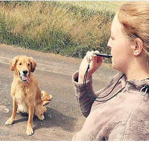 Silbato para perros ACME No. 210,5 con cinta de silbato | Original de Inglaterra | Ideal para el entrenamiento de perros | Material robusto | Frecuencia estandarizada | Fuerte y de gran alcance