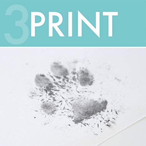 Silver Pet Prints Kit de impresión de Huellas de Mascota