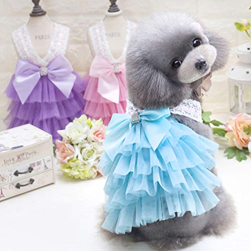 SIS Vestido para Perro, Falda tutú para Perro, Perro, Gato, Linda Falda de Princesa, Vestido tutú de Encaje para Torta para Perros pequeños y medianos para Ropa de Verano