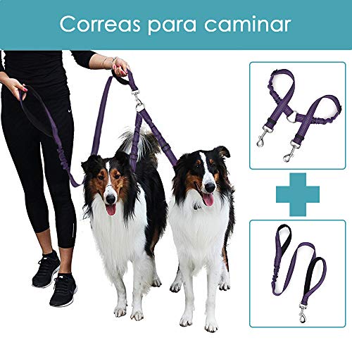 SlowTon Cinturón de Seguridad de Coche para Perros Doble cinturón de Seguridad con Correa, Ajustable Tira Reflectante cinturón de Seguridad (Púrpura, Correa de Perro Doble y Correa para Perros)