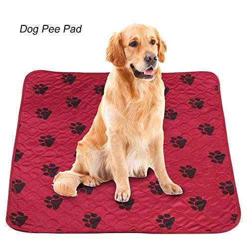 Smandy Almohadillas para Perros, Estera Impermeable para la orina Orina de la Cama Estera Reutilizable para el Entrenamiento del Perro Estera de alimentación Lavable Alfombra de Whelping(Red L)