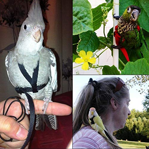 SNIIA 1pcs Ajustable Correa para Jaros Loro Gris Africano Cacatúa Guacamayo Paloma Torcaz Cotorra para Entrenamiento Al Aire Libre Cuerda Anti Mordedura Banda Voladora