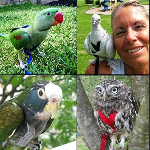 SNIIA 1pcs Ajustable Correa para Jaros Loro Gris Africano Cacatúa Guacamayo Paloma Torcaz Cotorra para Entrenamiento Al Aire Libre Cuerda Anti Mordedura Banda Voladora