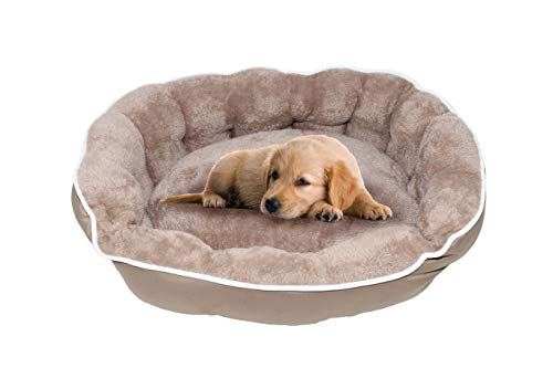 Sogni e capricci Cama para Mascotas coccole para Perros y Gatos, Beige, 59x53x18cm