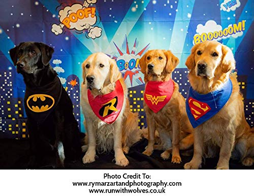 Spoilt Rotten Pets S3, Bandana de Batman para Perro, tamaño Mediano, Color Negro para Perros superhéroes. Adecuado para Golden Retrievers, Dálmatas, Labrador y Staffie tamaño Perros