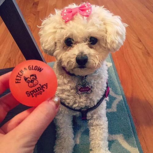 Spunky Pup Pelota Fetch and Glow Que Brilla en la Oscuridad Marca