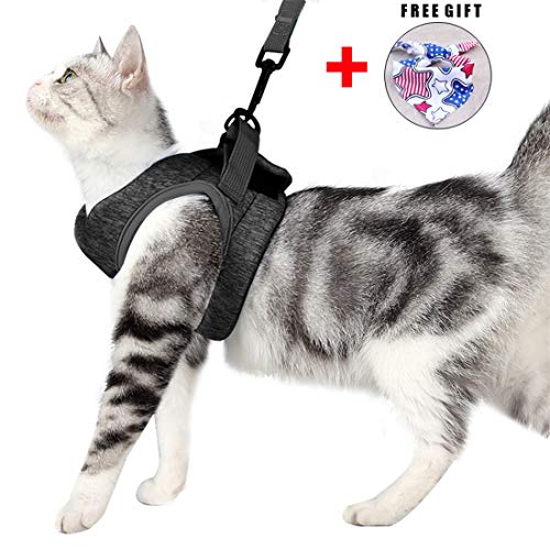 Sunlane Juego de arnés y Correa para Gatos para pasear 360 ° Wrap-Around pequeño Gato y Perros vajilla Efecto Amortiguador y Resistencia a la Fuga, Adecuado para Bolsa Plegable con Tejidos catiónicos