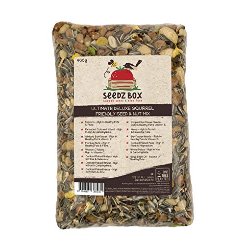 Súper lujosa mezcla de semillas y nueces, comida para ardillas, bolsa de 900 g, SeedzBox Squirrel Chipmunk Food, ardilla