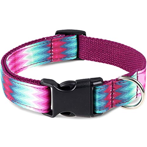 Taglory Collar Perro Ajustable,Estilo Único Collar Adiestramiento para Perros Medianos,35-50cm Pavo Real Morado