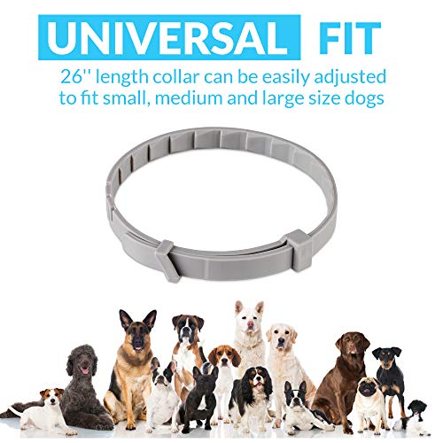 Tanness Collar antipulgas y garrapatas Perros Grandes y pequeños, 25 Pulgadas, hipoalergénico e Impermeable, para prevenir garrapatas y Control de pulgas, para 8 Meses de protección