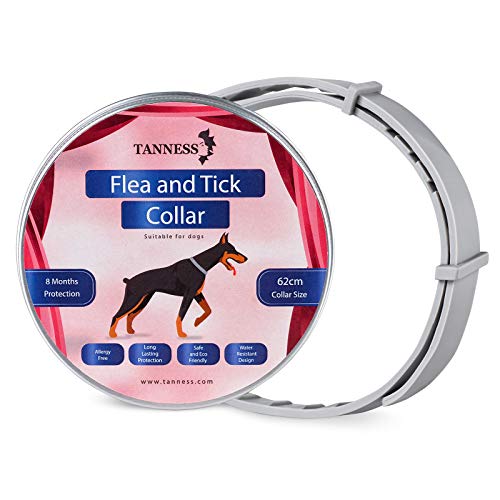 Tanness Collar antipulgas y garrapatas Perros Grandes y pequeños, 25 Pulgadas, hipoalergénico e Impermeable, para prevenir garrapatas y Control de pulgas, para 8 Meses de protección