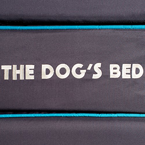 The Dog's Balls Cama de Perro ortopédica, Impermeable, 5 tamaños/7 Colores: fácil Artritis de Mascotas, displasia de Cadera y Pop, Calidad terapéutica, Fundas Lavables