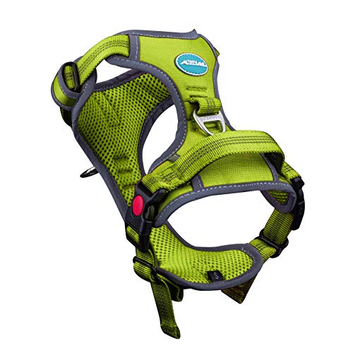 ThinkPet Arnés sin arnés Arnés Deportivo Transpirable - Chaleco de Seguridad para Perro con Relleno Reflectante Arnés Ajustable, Atrás/Clip Frontal para un fácil Control L Verde/Juego de Correa 1