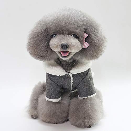 Tineer Mascota Perro Otoño Invierno Ropa Fresca Ropa de Abrigo Estilo Británico Chaleco Abrigo Chaqueta Abrigos con Cuello de Piel Pequeño Perros Medianos (S, Grey)