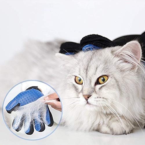 TONWON Mascota Guante de Aseo, Mascota Hair Remover Mitt, Excelente Kit de Aseo para Mascotas Depilación para Mascotas y Masajes Suaves - para Gatos y Perros (Paquete de 2, Azul)