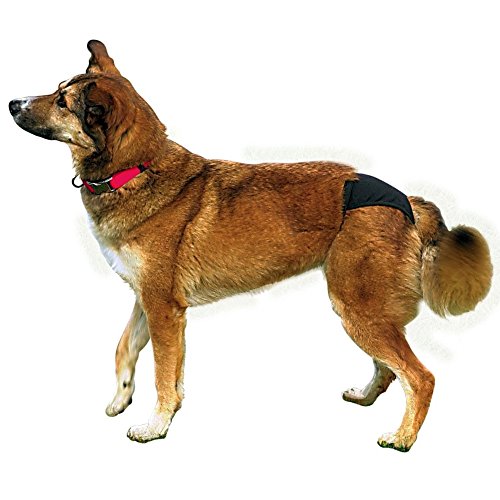 Trixie Braguitas Perros, XL, 60-70 cm, Negro