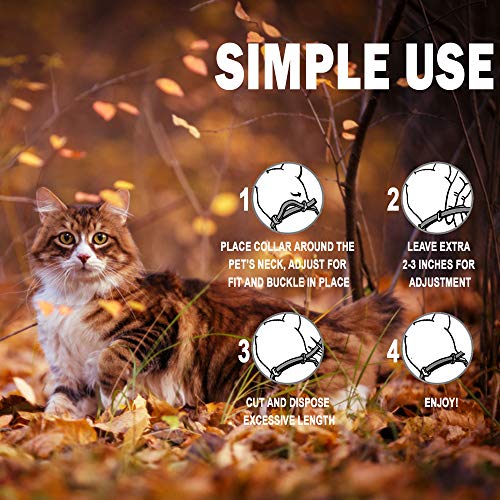 TUZIK - Collar antipulgas para Gatos, 12 Meses de protección contra pulgas, Ajustable, Seguro e Impermeable, Collar antipulgas – Todo Natural y antialérgico