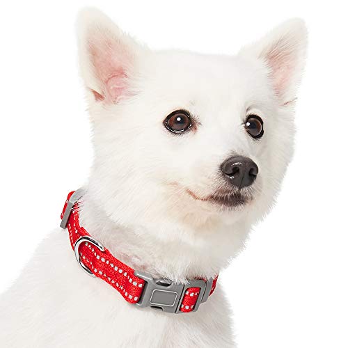 Umi. by Amazon - Pastel - Collar para perros L, cuello 45-66 cm, collares ajustables para perros (rojo amapola)