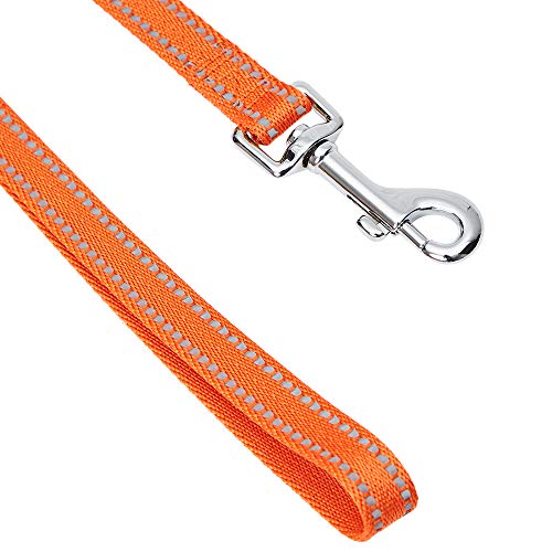 Umi. by Amazon - Pastel - Correa resistente para perros reflectante M, 150 x 2 cm, correas para perros (naranja calabaza)