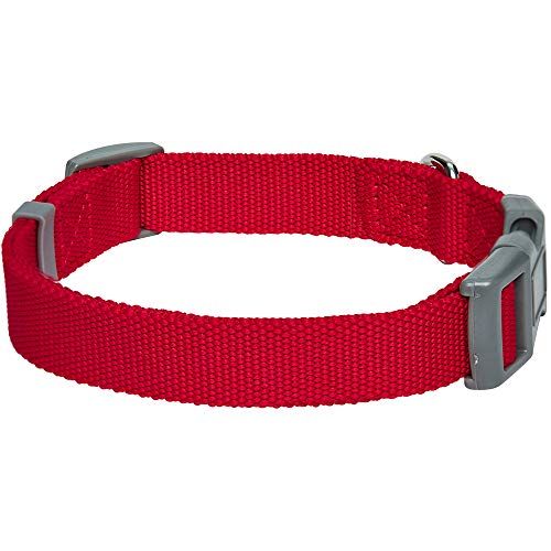 Umi. Essential Classic - Collar para perros S, cuello 30-40 cm, collares ajustables para perros (rojo)