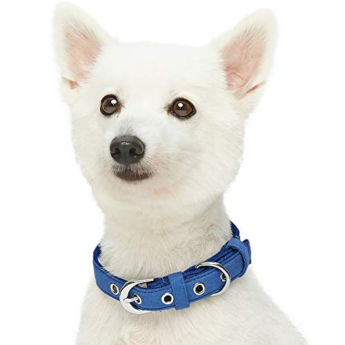 UMI. Essential Designer - Collar para Perros con Adorable Estampado de Huesos y Hebilla metálica L, Cuello 43-52 cm (Azul Oscuro)