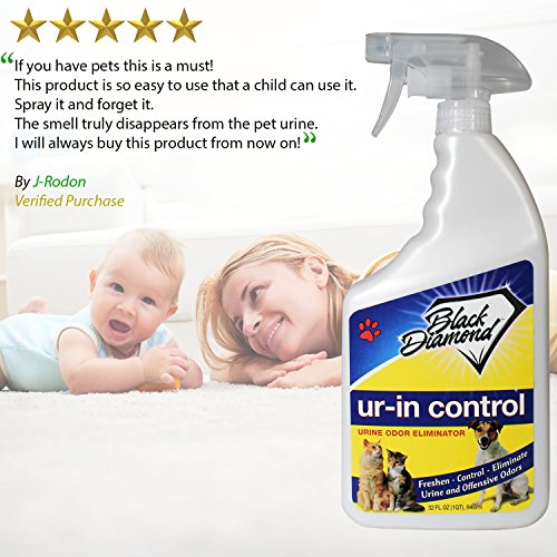 Ur-in Control elimina los olores de orina. Elimina el olor de la orina de gato, perro, mascotas y personas de alfombras, muebles, colchones, juntas del suelo, camas de mascotas y del hormigónCon enzimas biodegradables.946 ml.