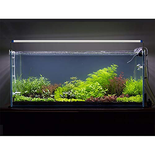 Urisgo - Lámpara de sujeción para Acuario, iluminación para Acuario con una lámpara de fijación LED para depósito de Peces con Pinza, luz Extensible de Planta acuática Impermeable para Acuario, 7 W