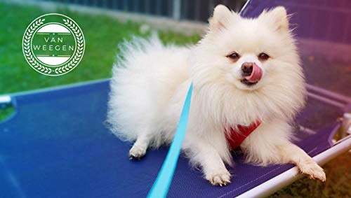 VAN WEEGEN - Mini cuerda de arrastre para perros pequeños y cachorros