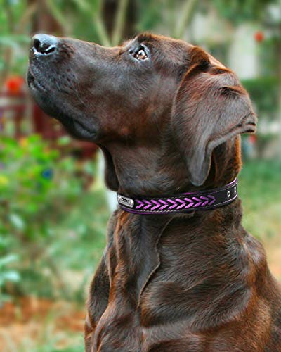 Vcalabashor Nombre Vcalabashor personalizado collar de perro de piel / cuero trenzado genuino plateado collares de perro 23.5-30cm Violeta / Negro