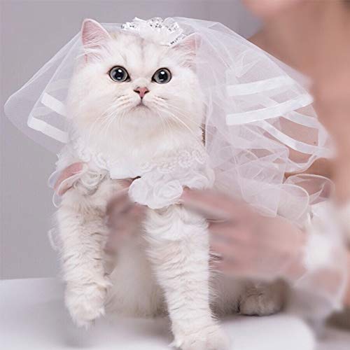 Velo para perros pequeños perro gato boda velo vestido novia disfraz perro peluca clips de pelo sombrero perro accesorios de pelo