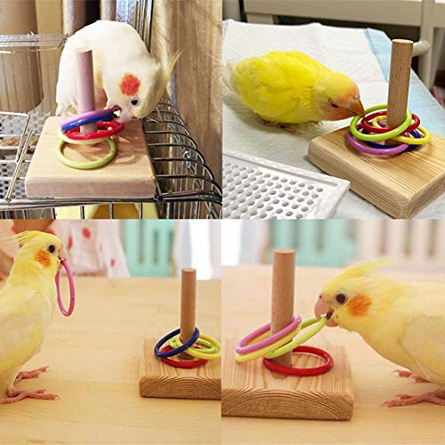 VERLOCO Loro Anillo De Pájaro De Juguete, Juguetes De Inteligencia para Budgie Perico Conure Lovebird Cacatúa, Interesante Juguete De Jaula, Base De Madera, Anillo De Plástico 7,5 X 7,5 X 6 Cm