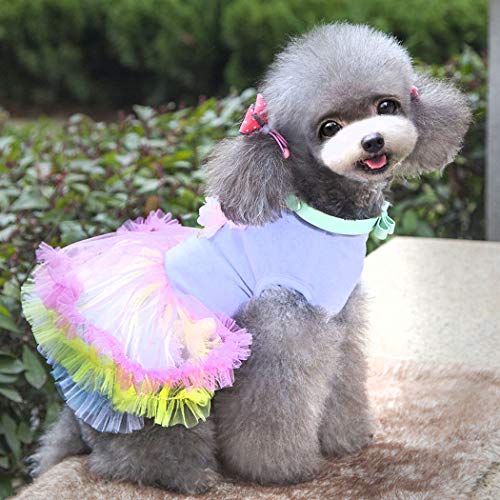 Vestido para Perro, Falda tutú para Perro, Linda Falda de Princesa, Vestido tutú de Encaje para Torta para Perros pequeños y medianos para Ropa de Verano