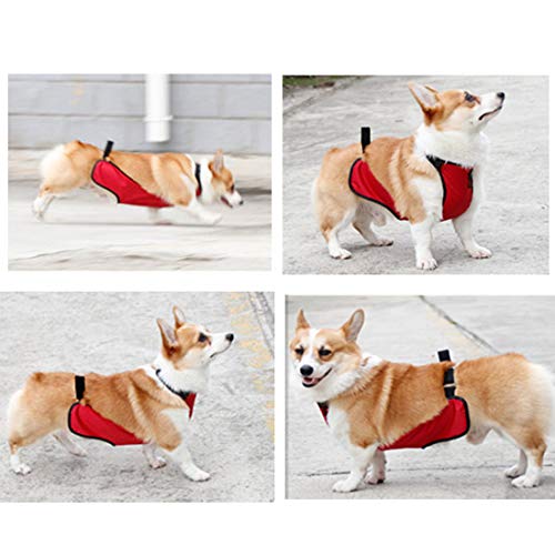 VICTORIE Perro Jacket Abrigo Invierno Otoño Nieve Caliente Chaleco Chaqueta para Pequeño Medianas Perros Mascotas Excursión Acampada Deambular Rojo