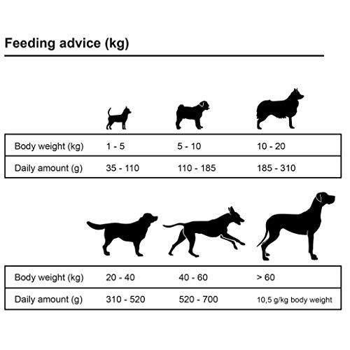 vidaXL - Parque y comida seca para perro, perro o jaula