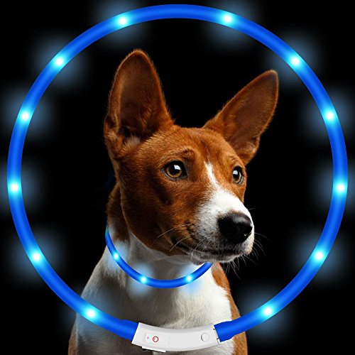 Vimmor LED Collar de Perro Mascota, Ajustable USB Recargable Impermeable LED Parpadeante Collar de Seguridad para Mascotas Gato, un Tamaño para Todos